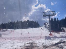 Apartman 1 Hotel Vucko Jahorina, hotel v destinácii Jahorina