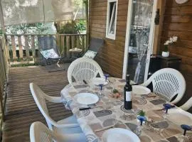 Camping Mobil Home 6 Pers Rivage des Landes Piscine Landes