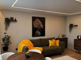 Modern City Apartment with River View