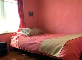 Cozy Penguin House Bibai