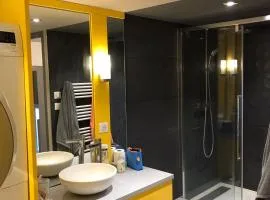Chambre dans Appartement proche Croix Rousse