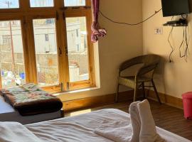 Nilza Guest House, Hotel in Leh