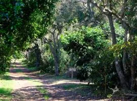 Coastal Farm Stay near St Francis