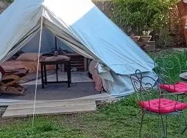 GLAMPING YURTA tents in Rose resort