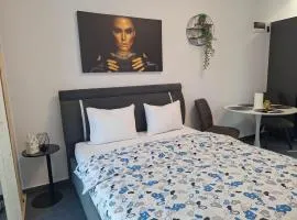 Studio Metrou Pacii Militari cu parcare inclusa