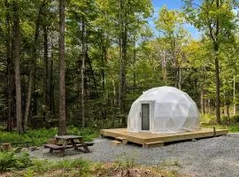 Cozy Mountain Dome Escape Near Beautiful Lakes and Nature in Lincoln, Maine