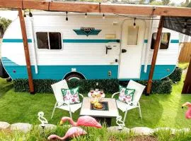 Vintage-Inspired Retro RV with Flamingo Theme Near Coast & Hiking Trails, El Cajon CA