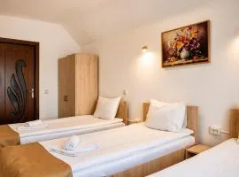 Casa Darius Cluj