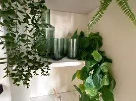 House Sleeps 8 with Enclosed Garden