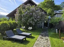 DRUMUL DOMNISORILOR c