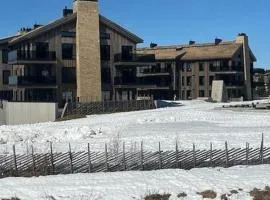 Apartment With Ski Inout By Gondola In Hafjell
