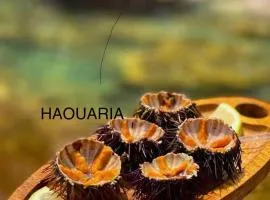 Haouaria PANTELLERIA