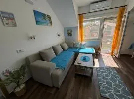 Vila Mir Banja Vrujci