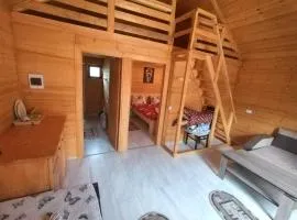 Cabanele Daniel Cacica