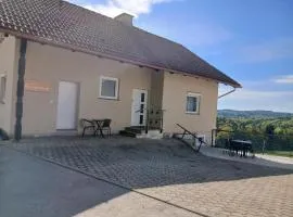 Urlaub am Weinhof Ramminger
