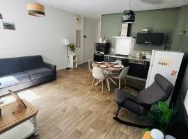Appartement T2 cosy au centre du puy en velay