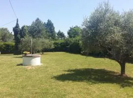 B&B Borgo del Priolo - Petfriendly