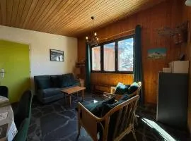 CHALET LE DAHUT - Grand appartement 8 pers