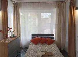 Family Apartments Lviv Villa OLGA
