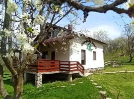 Căsuța din Livadă Schiulesti
