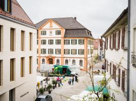 Marktplatz-Hotel Ochsen，埃欣根的飯店
