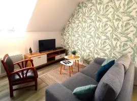 Concarneau beau T3 chaleureux à 5 min du centre