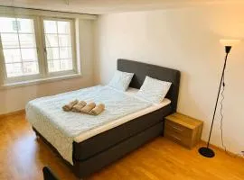 2 room Flat in Zurich Old Town Center RENN
