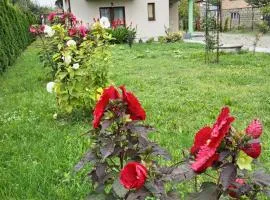 Willa Andzia Guest House