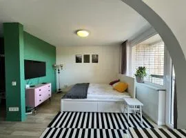 Forrest Visaginas - Studio apartment