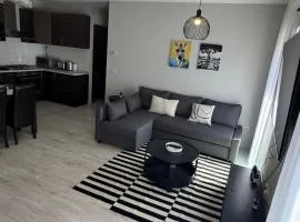 Misa Home