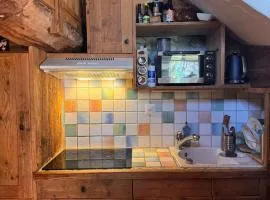 cosy mountain studio