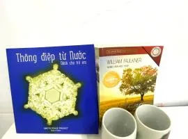 Homestay giữa trung tâm Hải Phòng