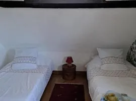 Villa forêt Mamiflo