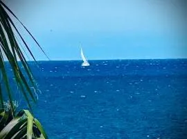 SeaBreeze