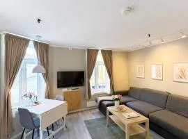 Stor attraktiv studioleilighet i sentrum