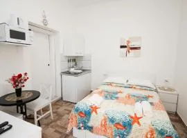 Studio Mjesec