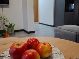 Apartament 3 - OpolskieNoclegi