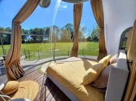 La Bulle des alpagas