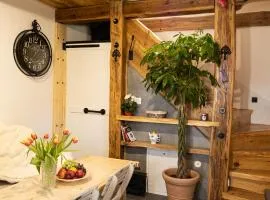 Apartmán La Pietra Toscana s privátnou saunou