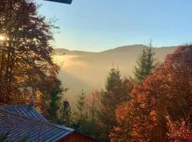 Chalet paisible dans les Cévennes