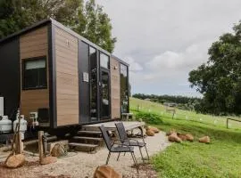 8 Farm Macadamia Plantation 2 by Tiny Away