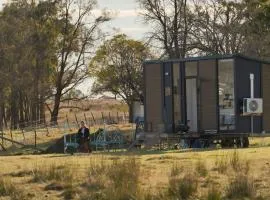 Little Argyle Tiny House by Tiny Away