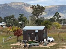 Little Lady Cabin by Tiny Away