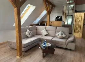 Apartament Wypoczynkowy Centrum