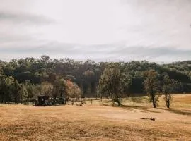 The Wollombi Wanderer by Tiny Away