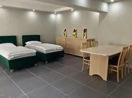 Central Studio Abrud