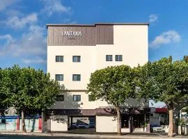 Lantana Daegu Shinam Branch