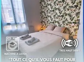 LE CALME URBAIN- proche gare et centre ville