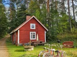 A cozy sauna cottage in Padasjoki
