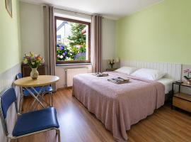 Pokoje Gościnne Sonia – hotel w mieście Tuszyn
